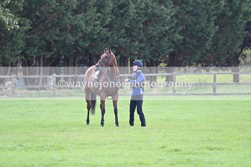 WJ7_0996 - Time 13:30 to 13:54