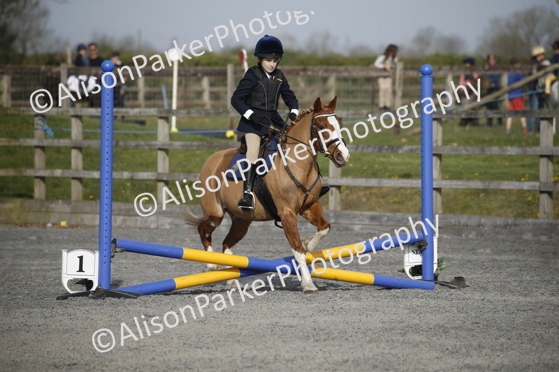 20250412-0078 - Show Jumping