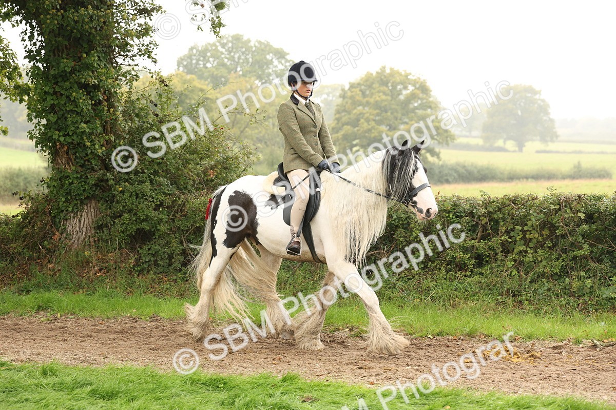 SBM_72675 - S70 - Traditional Cob Ridden