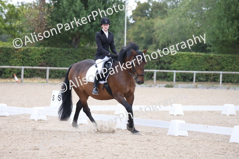 20250820-0347 - Class 11 - My Quest Novice 3