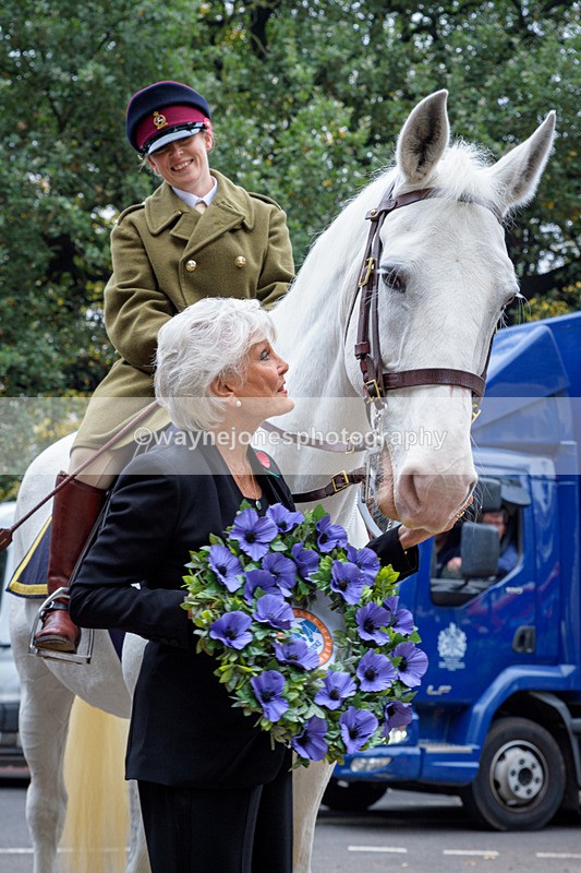 NGP_8149 - 2024 Animals in War Remembrance Gathering