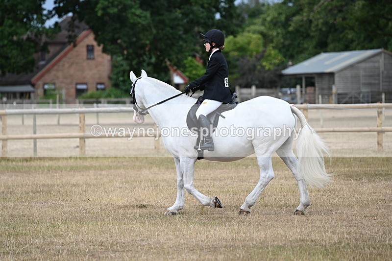 WJ6_7381 - Class 9 Tack and Turnout