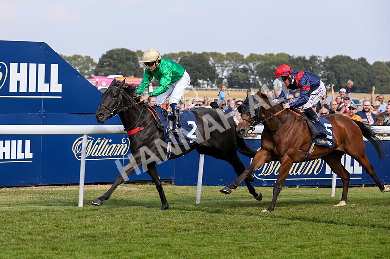 310824-Race 1-Quietness-0973 - Race 1