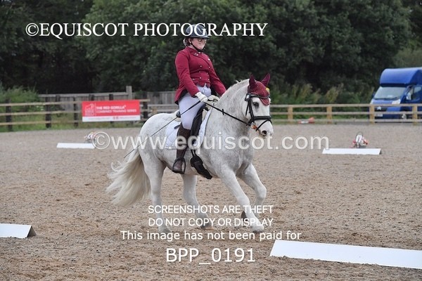 BPP_0191 - NOVICE 4 & 6
