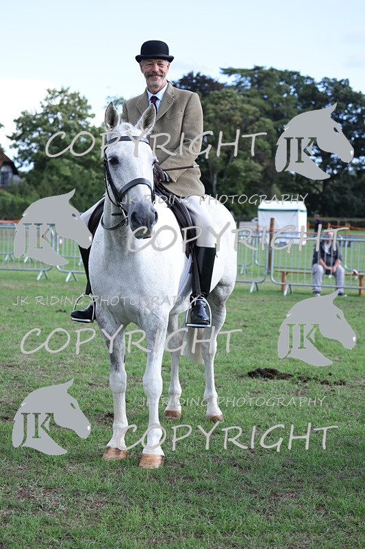 APP_4165 - Class 15a/b Pony club pony/Riding club horse