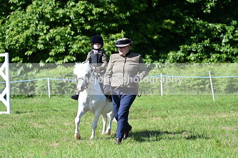WJ7_0575 - Class 8 First Rally Pony