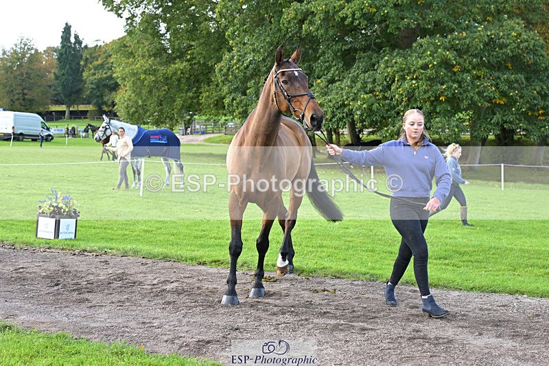 241023-131306-00139 - 008-Charlie.Piper-ZADOK.D