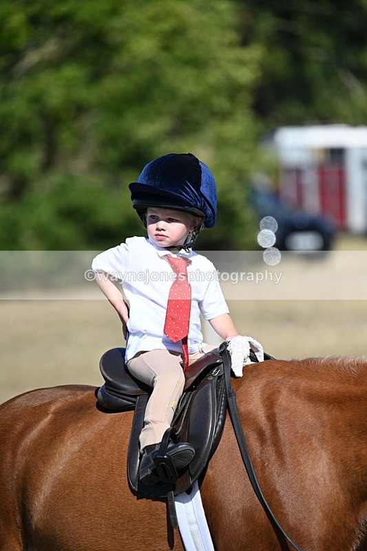 WJ7_2083 - Class 44 Child's Best Friend