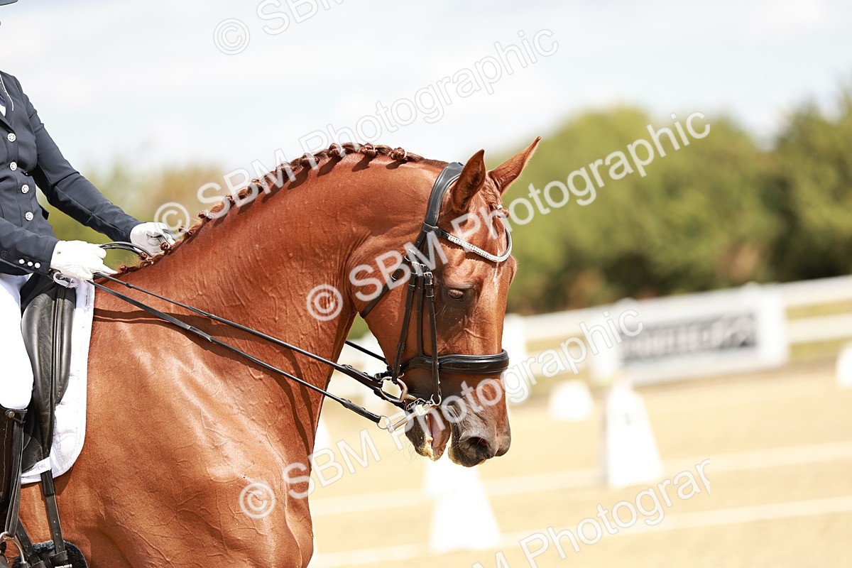 SBM_009408