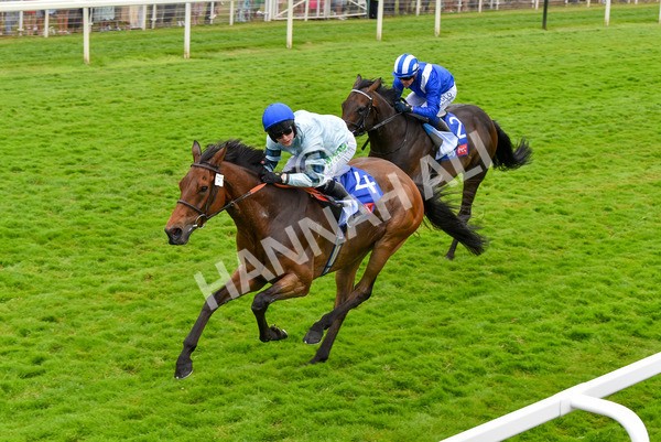 170623-Race 3-Quickthorn-7054 - Race 3 3.05pm Sky Bet Race To The Ebor Grand Cup Stakes