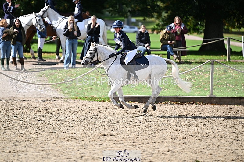 251005A-140526-04280 - Cls 09 Nov 80-85cm