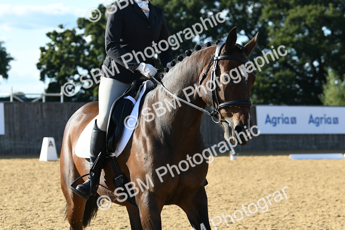 SBM_28427 - D16 - Small Tour Championship - Novice 28