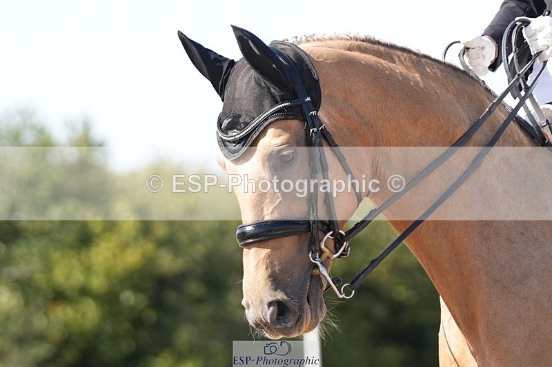 250906-154415-04851 - 054-Amy.Louise.LloydDiva.Royale