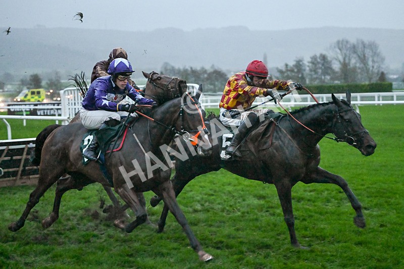141125-Race 6-Frontier Prince-1517 - Race 6
