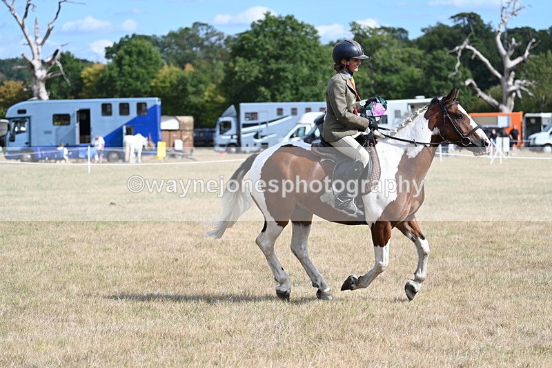 WJ7_7426 - Class 14 Ridden Coloured