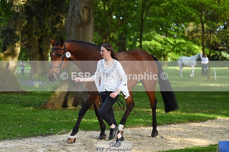 230524-171608-01392 - 171-SLANEYSIDE_COOLEY-Lara_Chapple-WEDTrotUp+DR