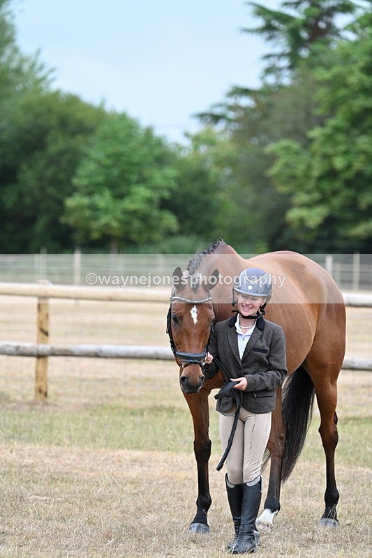 WJ7_9894 - Class 5a Most Handsome Gelding (above 14.2hh)