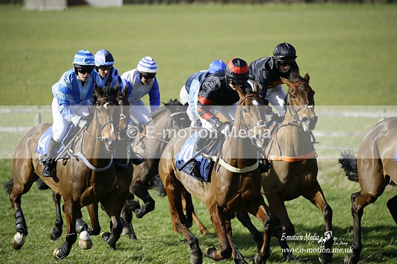 PtP 260222 351 - Kingston Blount Racing Club Point-to-Point 26/02/22