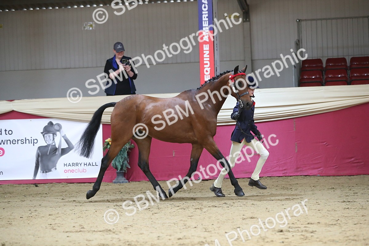SBM_01292 - Class 3a Area IH Pre Vet