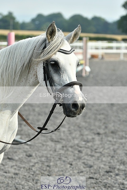 230817-094509-00241 - Theo's 1st Group - Arena