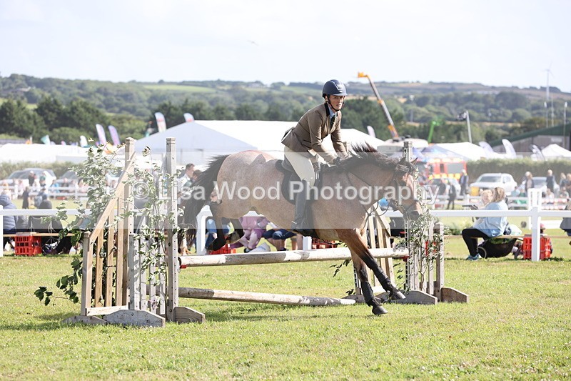 JPP_2656 - Class 20: Working Hunter 70cm