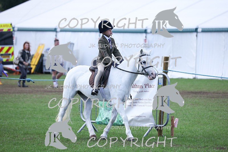 APP_4135 - Class 15a/b Pony club pony/Riding club horse