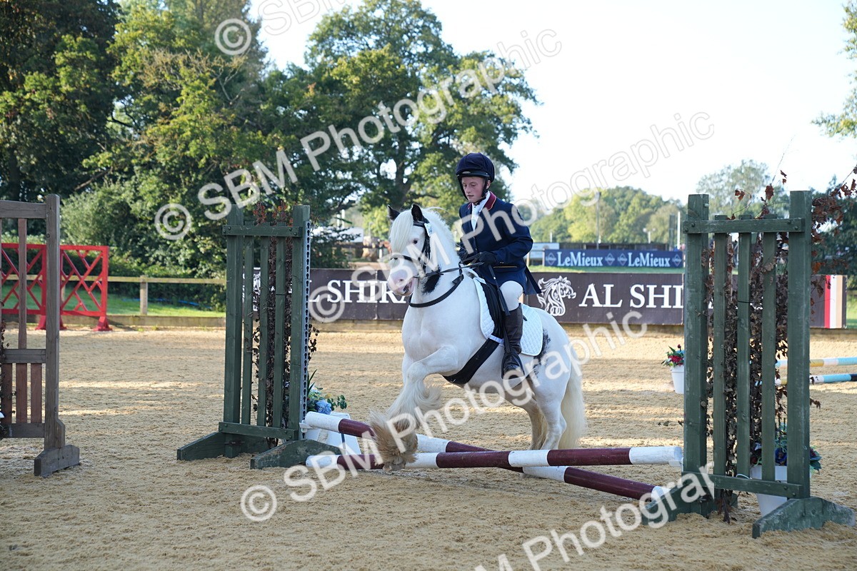 SBM_59034 - J63 - Minis Clear Round 30cm 40cm