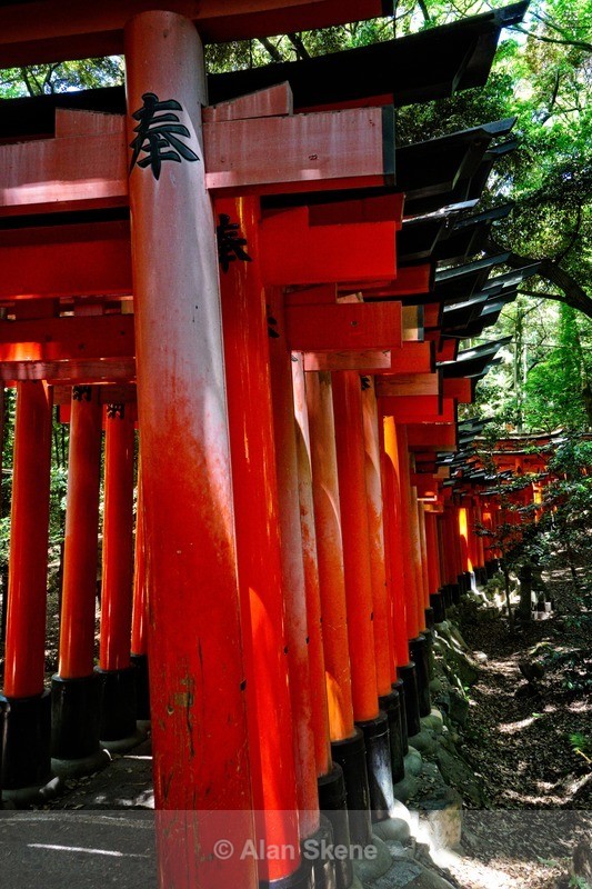 DSC05411 - Kyoto