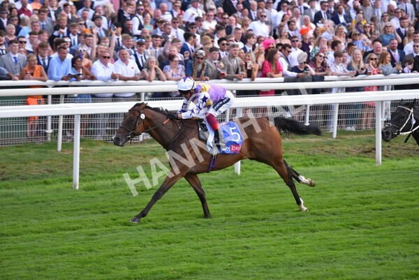 yr20082022r3-23 - Race 3 3.00pm Sky Bet City of York Stakes