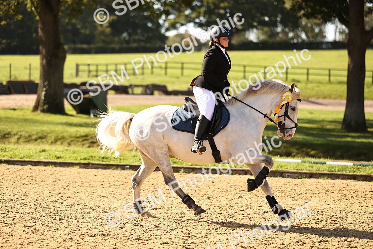 SBM_35243 - J38 - Senior 80cm Championship