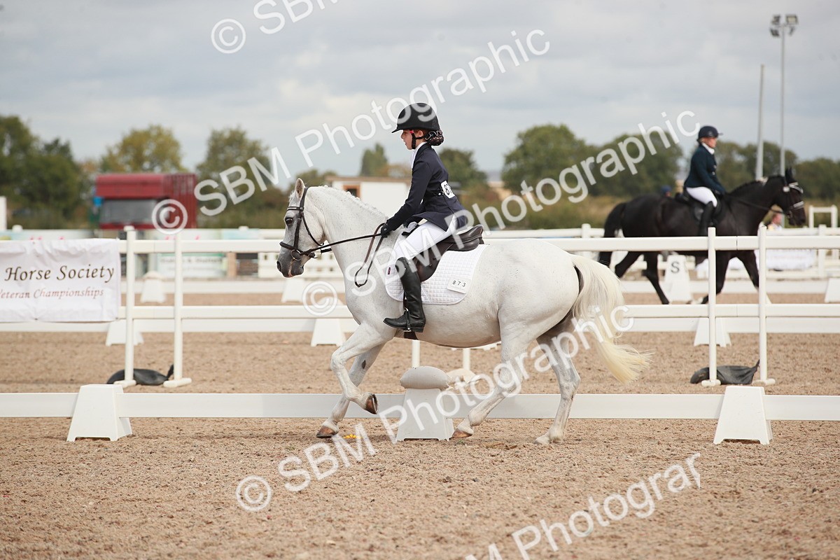 SBM_03979 - Class 31 - Prelim 1