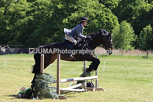 IMG_4003 - Working Hunter