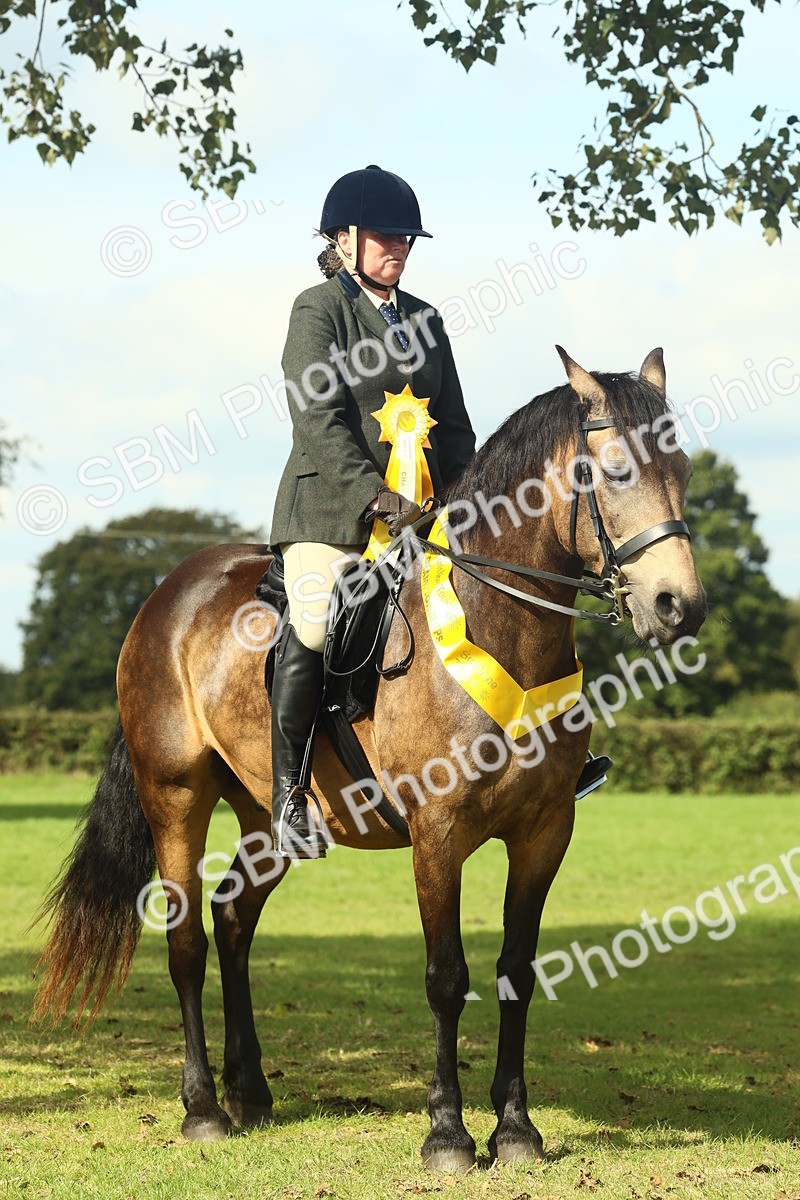 SBM_62707 - S63 - Other Coloured Horse Ridden