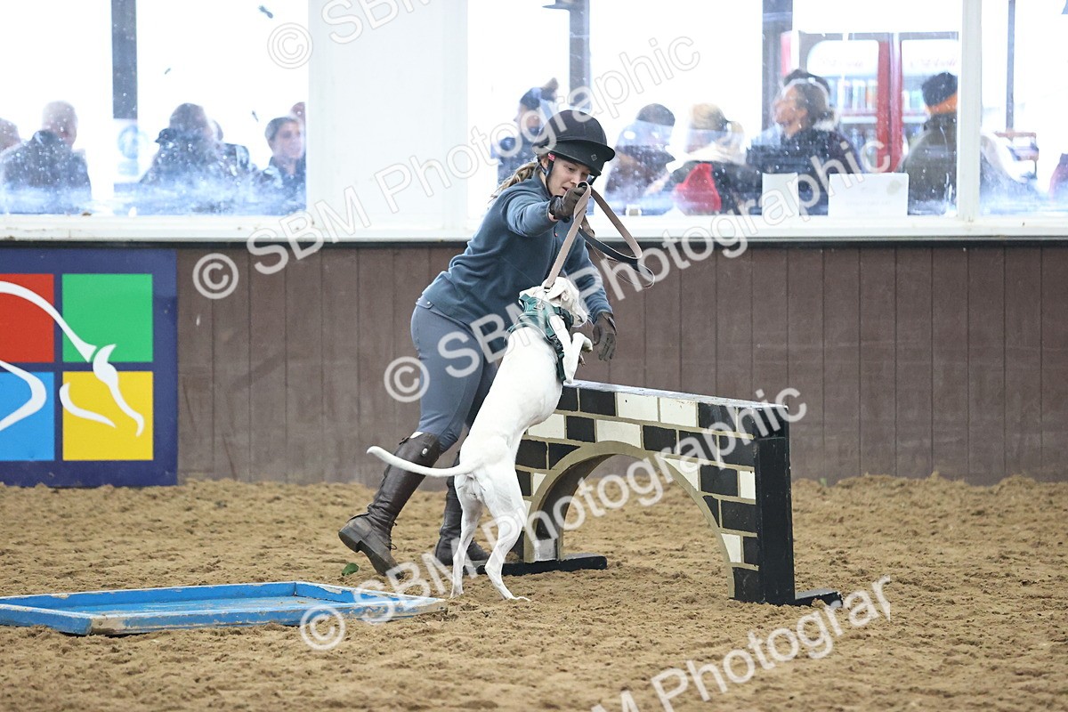SBM_001328 - Class 3 - Horse & Hound 60cm