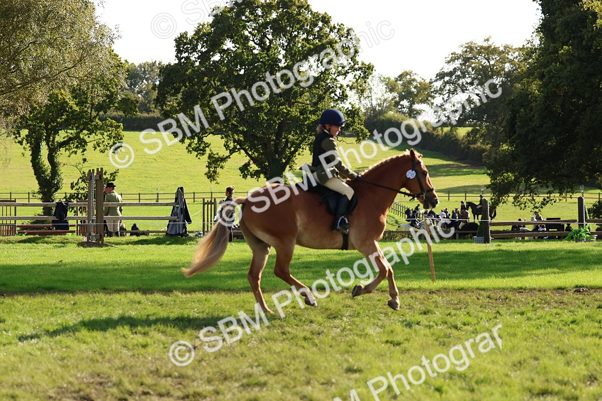 SBM_52414 - S13 - Pony Club Pony
