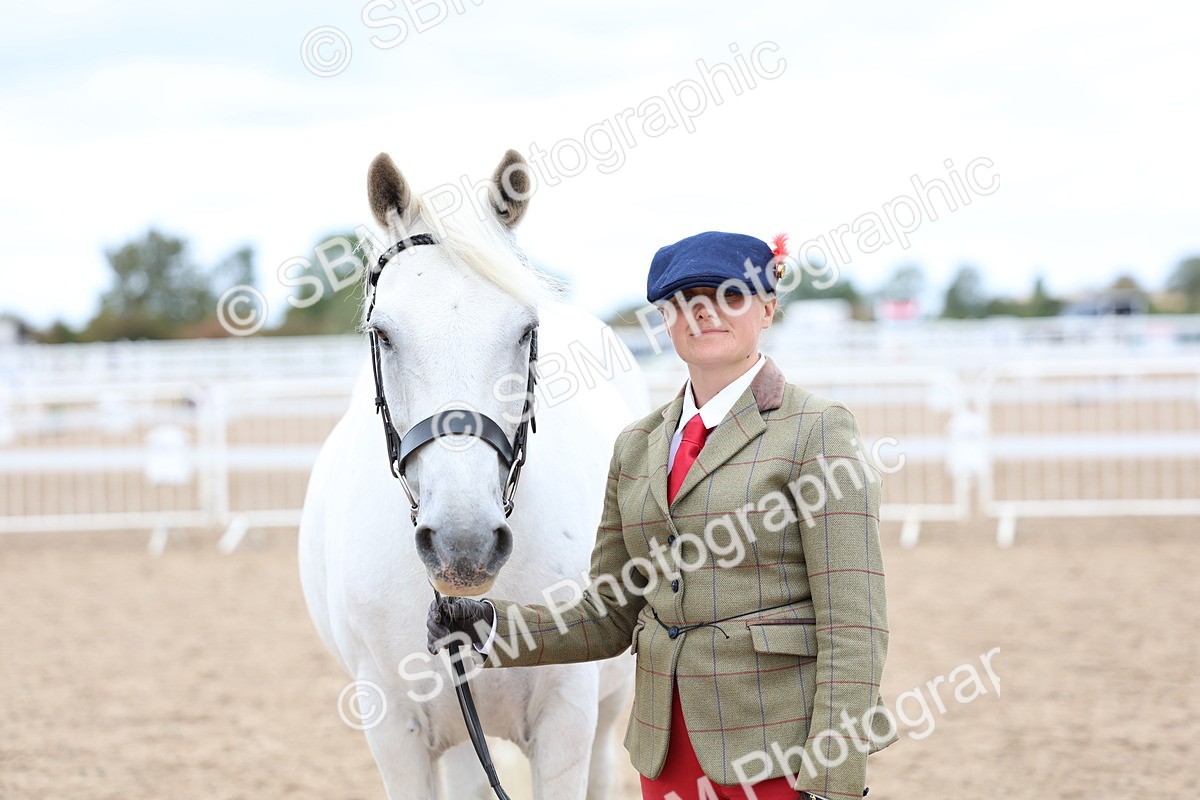 SBM_05082 - Class 27 - IH Competition Horse or Pony