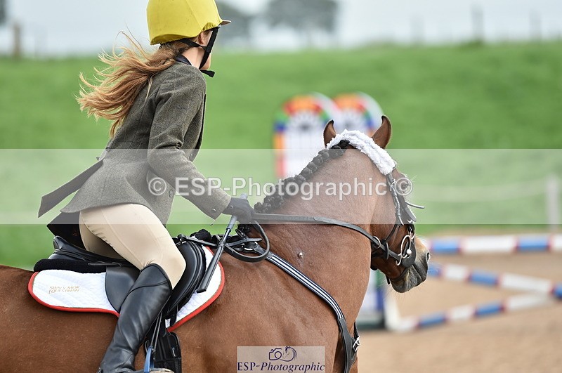 230902A-112034-00678 - Cls 2B Pony Small 80cm