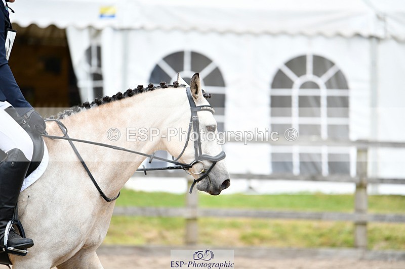 240825X-154759-36006 - 80cm SJ 14.00 to 15.55