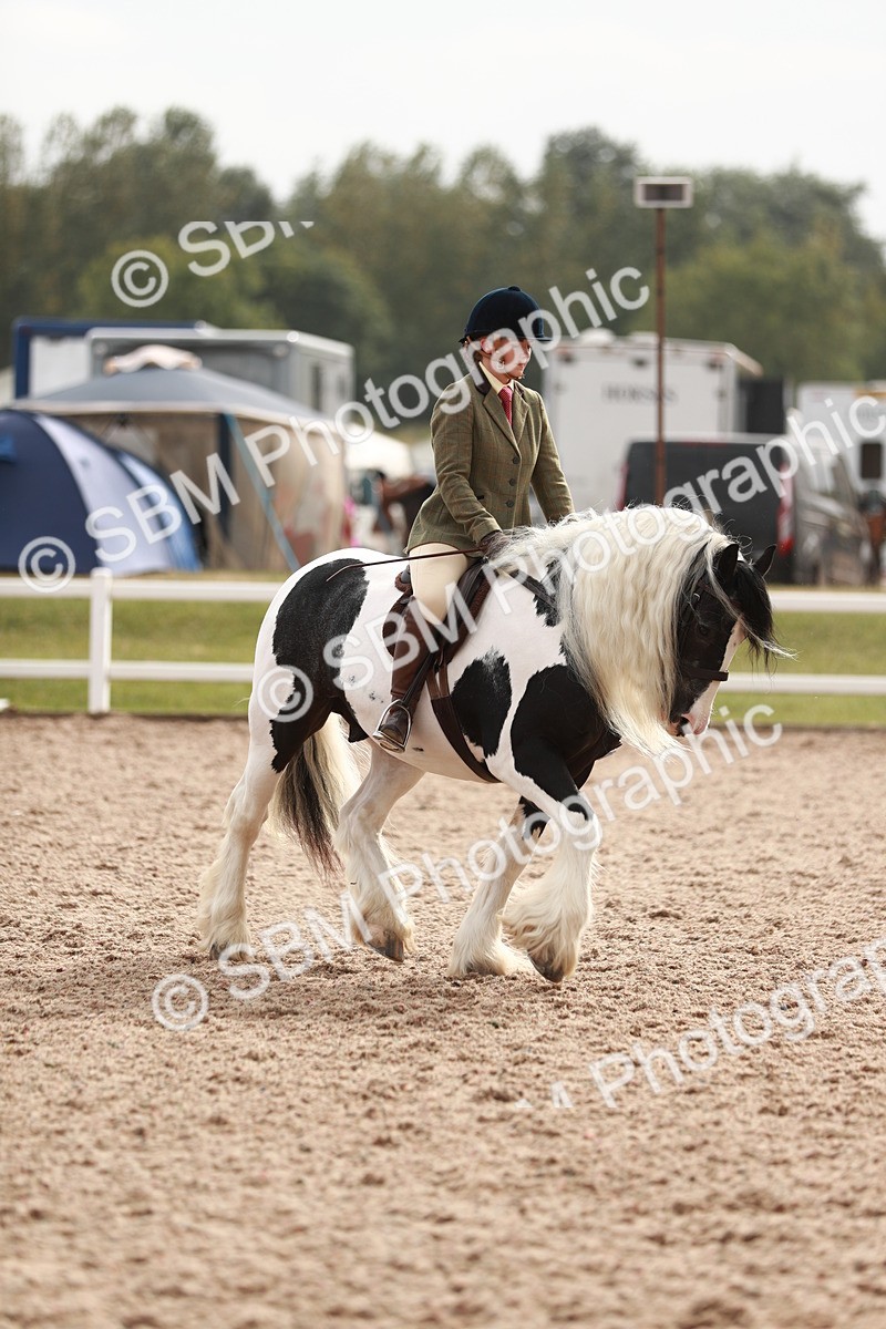 SBM_16777 - Class 214 Ridden Cob
