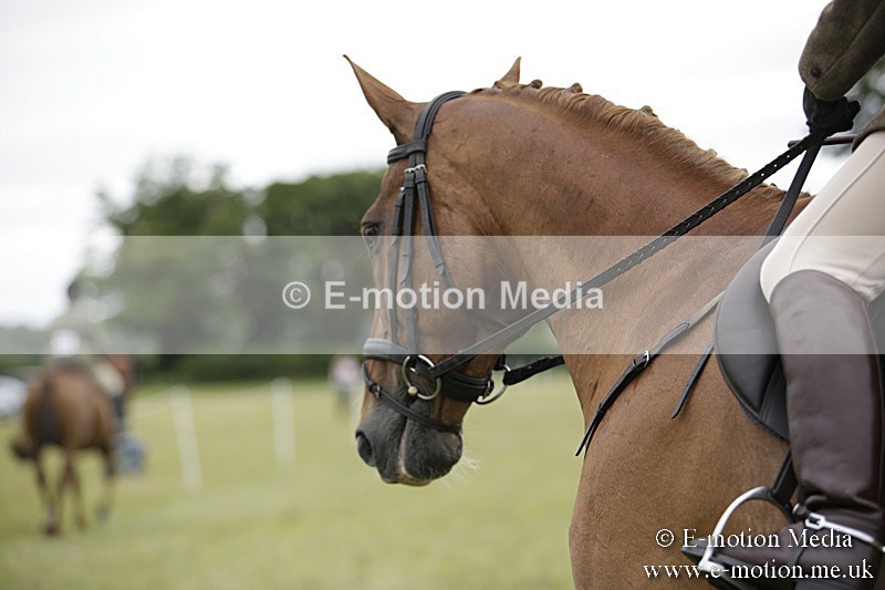 BVR160717-761 - Ring 1 BVRC Show 16/07/17