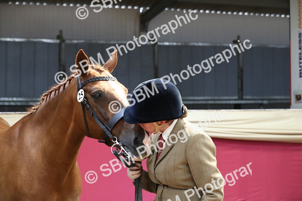 SBM_04437 - Class 7R Regional - IH Diamond