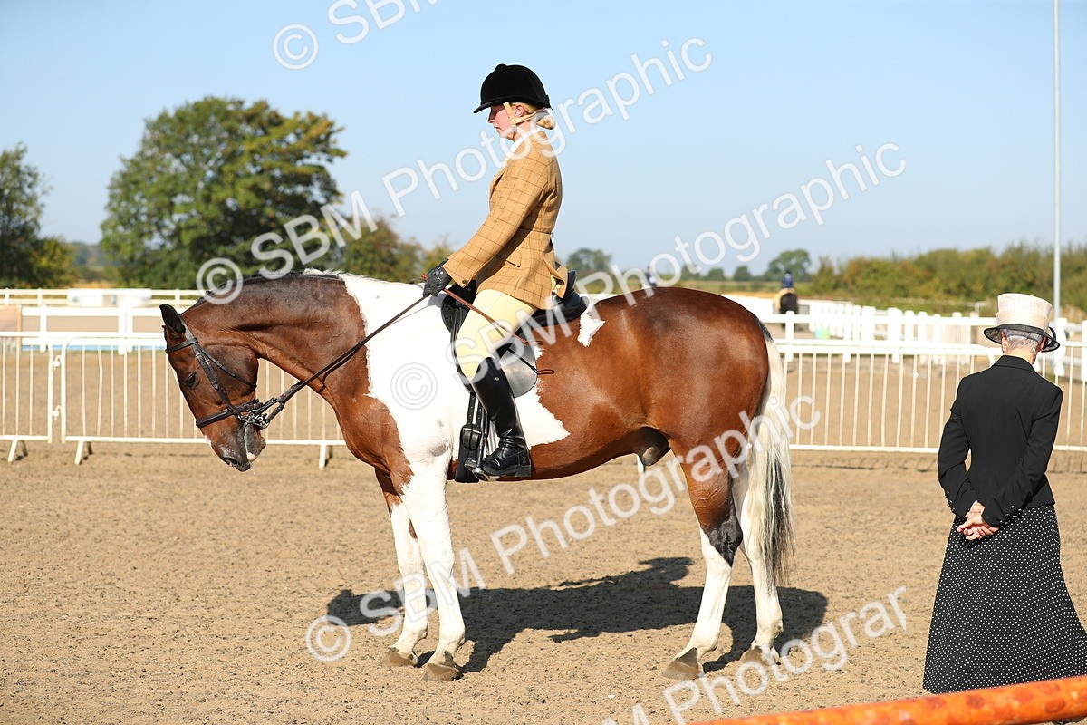 SBM_01223 - Class 42 Ridden Veteran