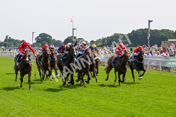 130625-Race 3-Easy Peeler-9006 - Race 3 3.00pm British EBF Supporting Racing With Pride Fillies' Handicap