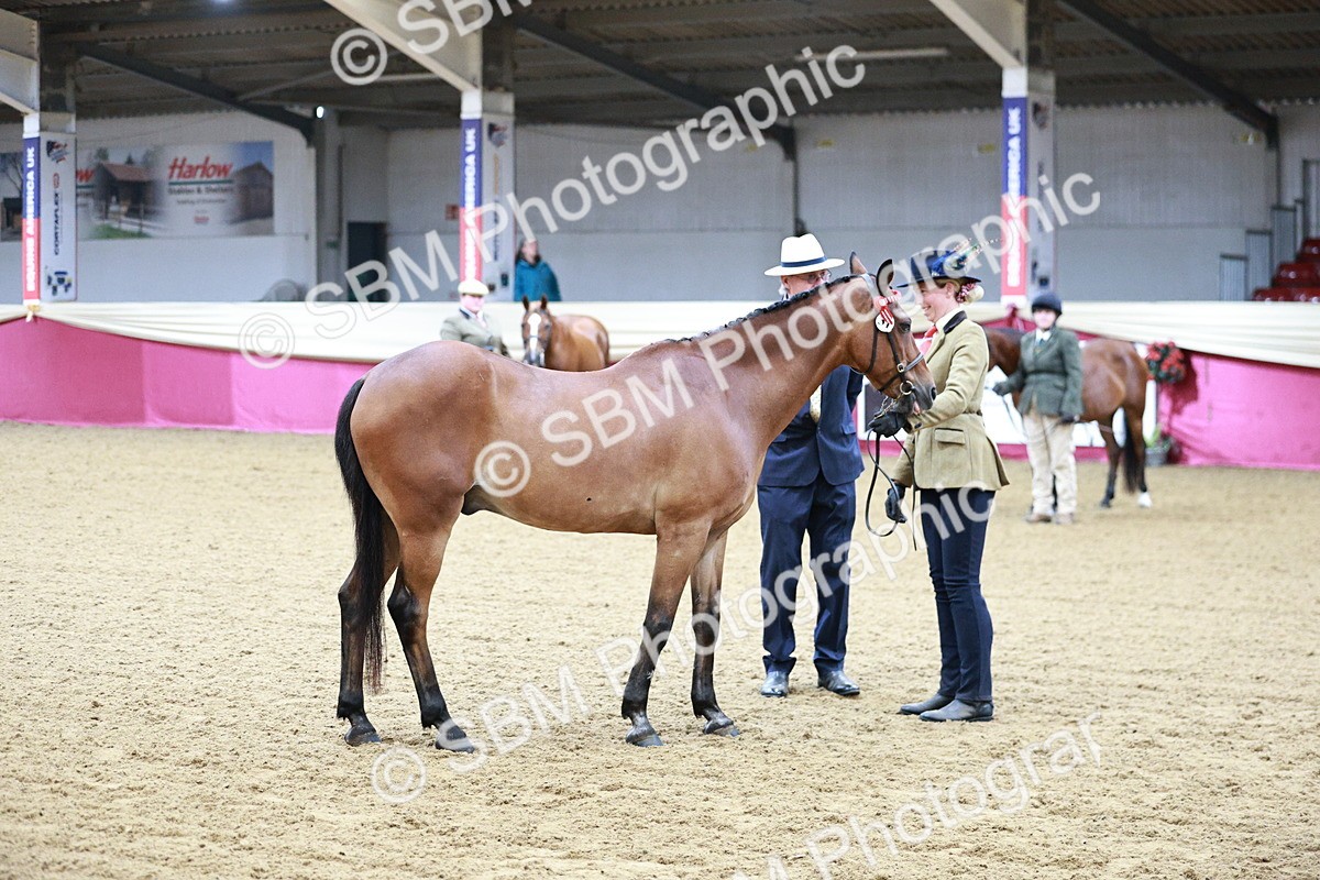 SBM_00244 - Class 1A - Area IH Diamond