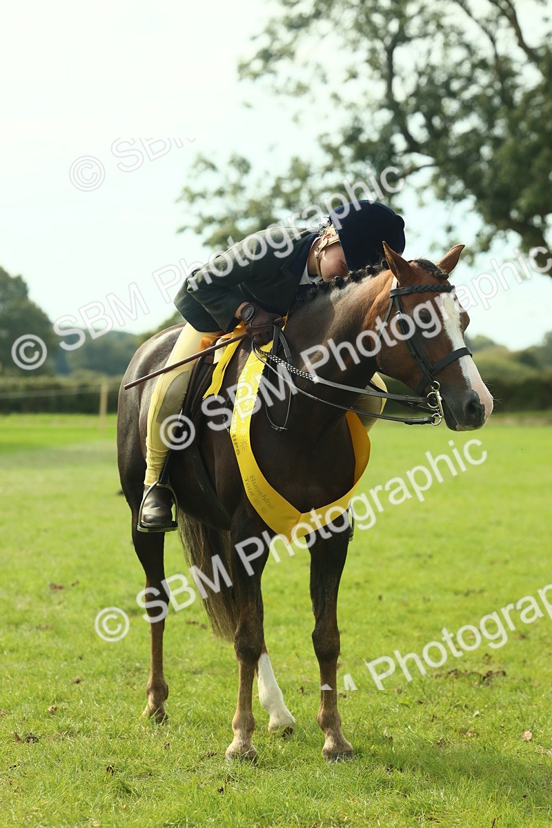 SBM_68152 - S57 - Part Bred Pony Ridden