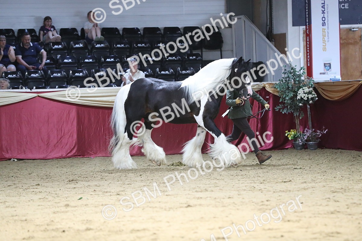 SBM_06482 - Class 9R Regional- IH Pre Vet