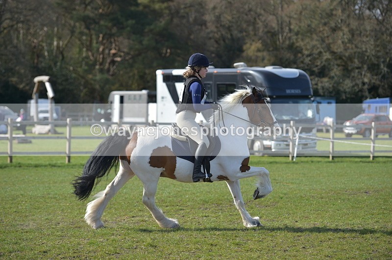 NGP_2665 - Time 14:44 to 15:11