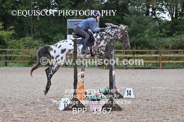 BPP_3367 - CLASS 34 SUN 0.85m Scottish Amateur Champion of Scotland