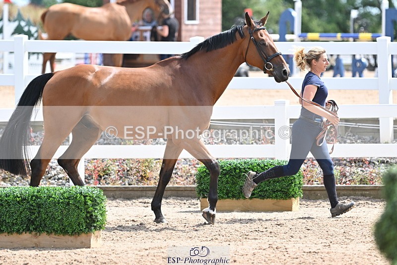 240717A-145046-02343 - Trot Up 2pm to 3pm - This folder is not in time order