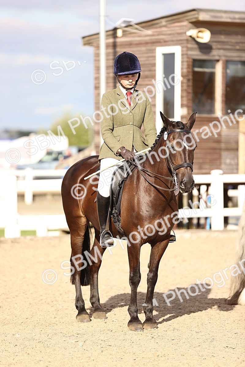SBM_18275 - Class 423 - Equitation (best rider) Adult